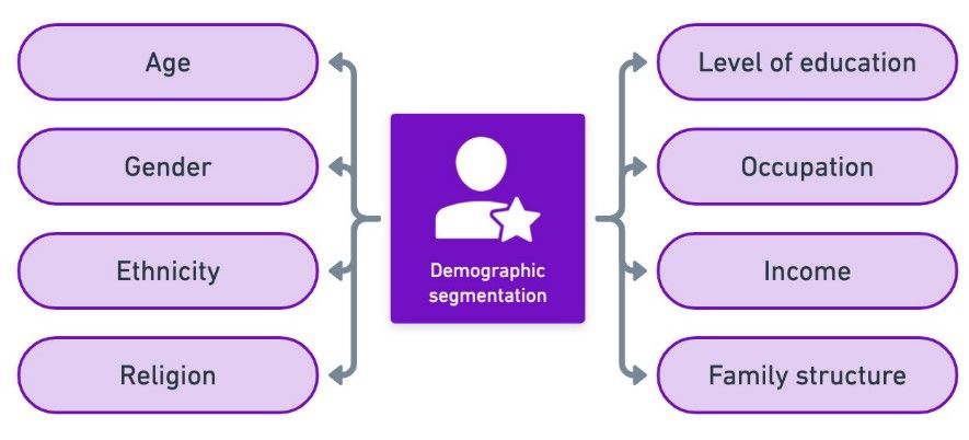 Demographic segmentation criteria