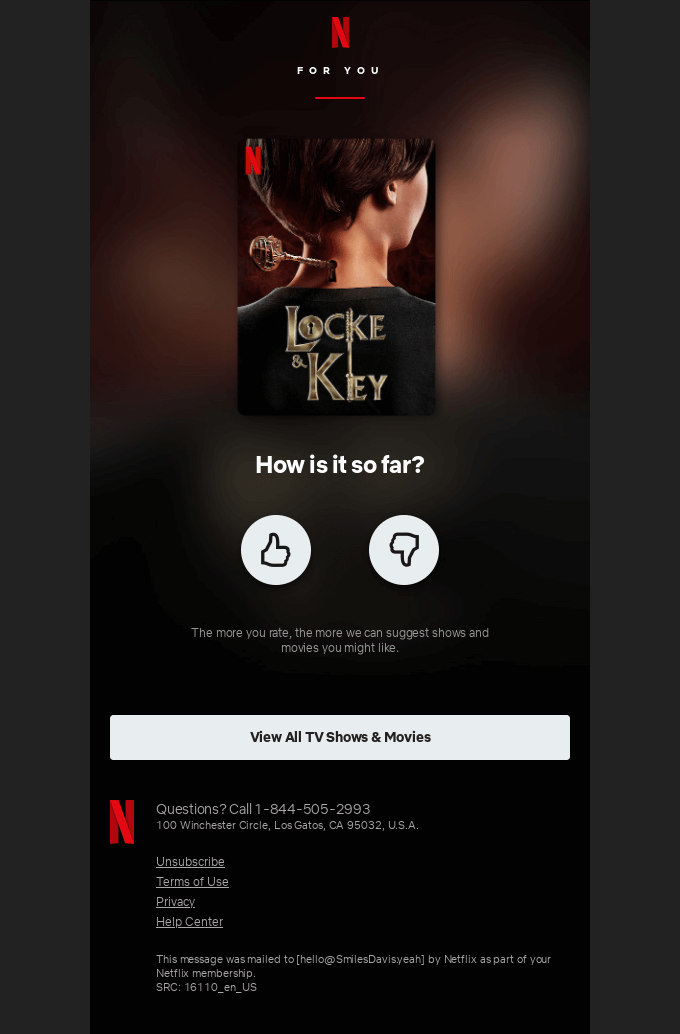Customer feedback - personalized email example from Netflix